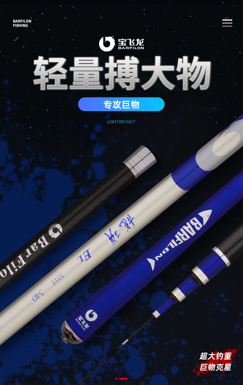 寶飛龍釣具魚竿野釣休閑竿龍頂詳情_01.jpg