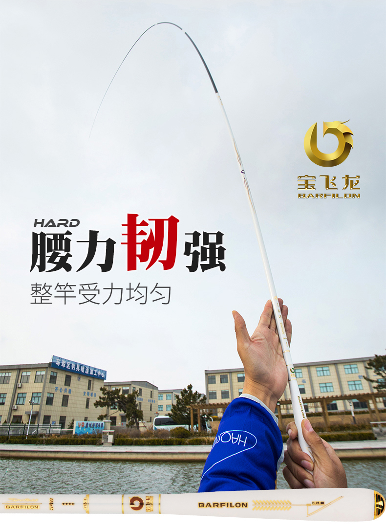 寶飛龍釣具2020新品鯽魚竿白澤g_08.jpg